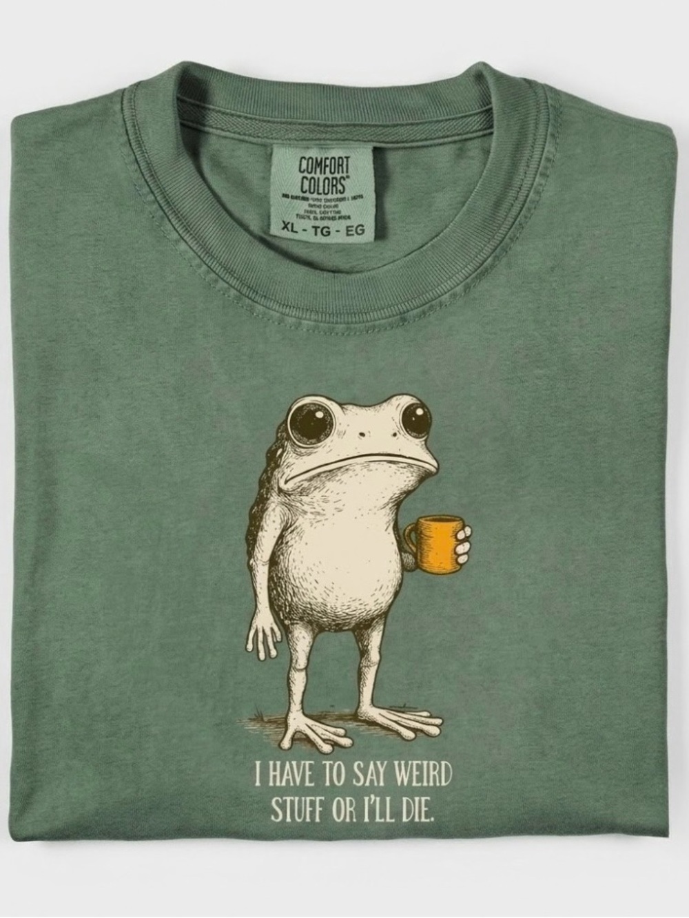 Comfort Colors Funny Frog Meme 'I Have To Say Weird Stuff' Sarcastic Humor Tee